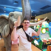  ,   , 28 ,   ,   