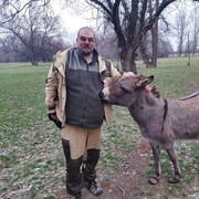 ���������� ������, ���� ������� �������, 47 ���, ������������ ��� c�������� ���������