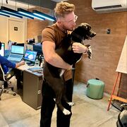  ,   , 38 ,   ,   , c 