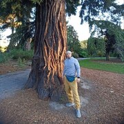 ���������� �����������, ���� ������� �����, 40 ���, ������������ ��� ������, ����� � ���������, c�������� ���������, ���������