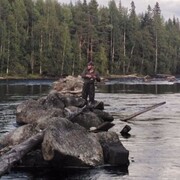 ���������� ��������, ���� ������� ������, 26 ���, ������������ ��� ������, ����� � ���������