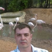  ,   , 42 ,   ,   