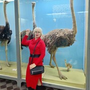 ���������� �����-���������, ���� ������� ��������, 51 ���, ������������ ��� ����� � ���������, c�������� ���������