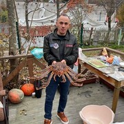 ���������� �����������, ���� ������� �����, 34 ����, ������������ ��� ������, ����� � ���������, ���������