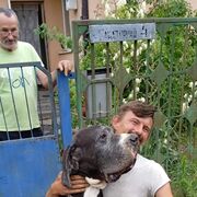  ,   , 45 ,   ,   , c , 