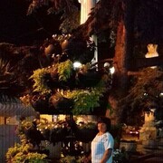 ���������� ������, ���� ������� �������, 56 ���, ������������ ��� ������, ����� � ���������