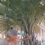 ���������� �����, ���� ������� �������, 59 ���, ������������ ��� ������, ����� � ���������, c�������� ���������