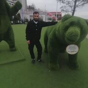 ���������� ����������, ���� ������� ����, 34 ����, ������������ ��� ������, ����� � ���������