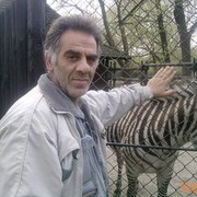  Zlotow,   Tigo, 61 ,   ,   , c 