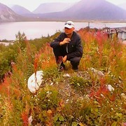 ���������� �����, ���� ������� ������, 43 ����, ������������ ��� ������, ����� � ���������, c�������� ���������