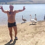  ,   , 40 ,   