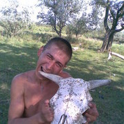 ���������� ����������, ���� ������� Leshiy, 44 ����, ������������ ��� ������