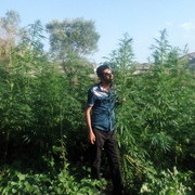  ,   MKRTICH, 49 ,   ,   , c , 