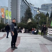 ���������� ������-��-����, ���� ����� Pahlavon, 24 ����, ������������ ��� ������, ����� � ���������, c�������� ���������, ���������