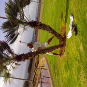  ,   , 55 ,   ,   , c , 