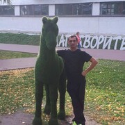 ���������� ������ ��������, ���� ������� ����, 43 ����, ������������ ��� ������, ���������