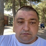  ,  , 43