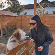 ���������� ������������, ���� ������� ������, 22 ����, ������������ ��� ����� � ���������