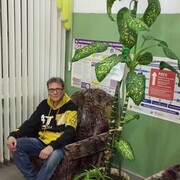  ,   , 51 ,   ,   