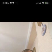  ,  , 51