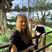 ���������� �����, ����