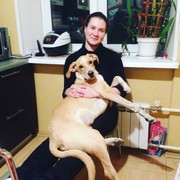 ���������� ������, ���� ������� �����, 37 ���, ������������ ��� ������, ����� � ���������, c�������� ���������