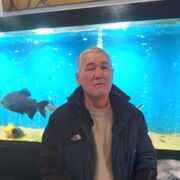  ,   , 62 ,   ,   