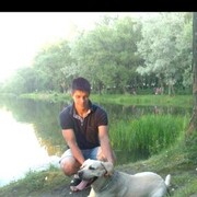 ���������� ���������, ���� ������� �������, 38 ���, ������������ ��� ������, ����� � ���������