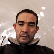  -,   , 49 ,   