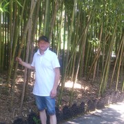 ���������� �������, ���� ������� �����, 43 ����, ������������ ��� ������, ����� � ���������, c�������� ���������