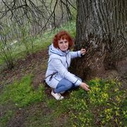 ���������� �����-���������, ���� ������� �����, 64 ����, ������������ ��� ������, ����� � ���������, c�������� ���������