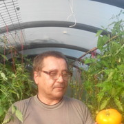  ,   , 59 ,   ,   , c 