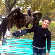 ���������� �������, ���� ������� �����, 32 ����, ������������ ��� ������