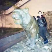 ���������� ��������, ���� ������� �������, 30 ���, ������������ ��� c�������� ���������, ���������