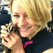 ���������� ������, ���� ������� ������, 39 ���, ������������ ��� ������, ����� � ���������, c�������� ���������