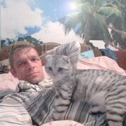  ,   , 44 ,   ,   