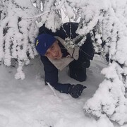  ,   Dmitry, 41 ,     , c 