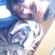 ���������� ������, ���� ������� ����, 36 ���, ������������ ��� ������, ����� � ���������, c�������� ���������