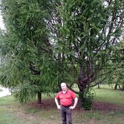 ���������� ������������, ���� ������� �����, 61 ���, ������������ ��� ������, ����� � ���������