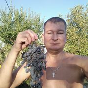 ���������� �����, ���� ������� �����, 46 ���, ������������ ��� ����� � ���������, c�������� ���������