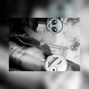 ���������� ����������, ���� ����� ����, 22 ����, ������������ ��� ������, ����� � ���������