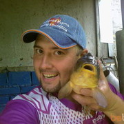 ���������� ����, ���� ������� Ramzes, 47 ���, ������������ ��� ������