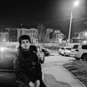  ,   Shax, 24 ,   ,   