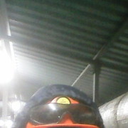 ���������� ���������, ���� ������� �������, 44 ����, ������������ ��� ������, ����� � ���������, c�������� ���������