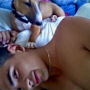 ���������� ������, ���� ������� What Is Love, 31 ���, ������������ ��� ������, ����� � ���������, c�������� ���������