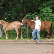 ���������� ���������, ���� ������� �������, 50 ���, ������������ ��� ������