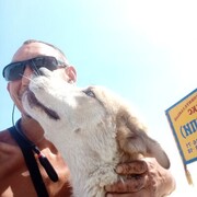 ���������� ������-��-����, ���� ������� �������, 37 ���, ������������ ��� ������, ����� � ���������, c�������� ���������, ���������