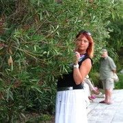  ,   , 52 ,   ,   , c 