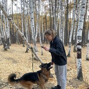 ���������� ����, ������