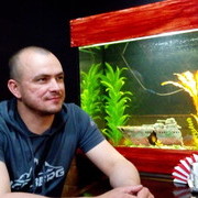 ���������� ������, ���� ������� ��������, 43 ����, ������������ ��� ������, ����� � ���������, c�������� ���������